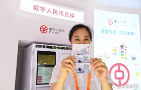 钱包货币(中银薪钱包货币)