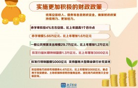 货币政策独立性(货币政策独立性和汇率稳定)